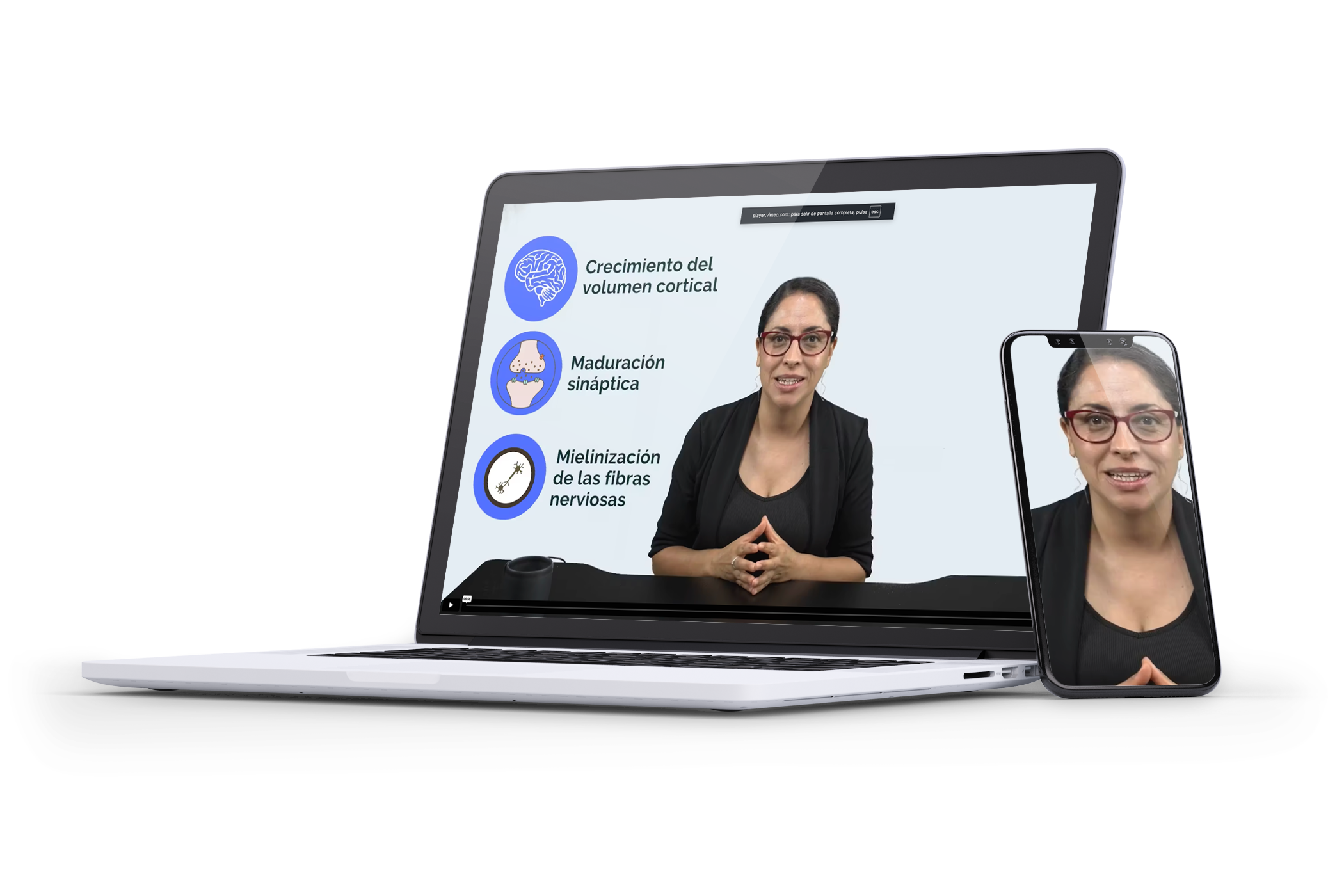 mockup intro cog mod 2 lx