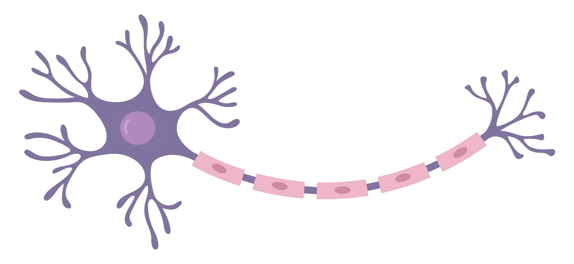 neuron-warm-9-min